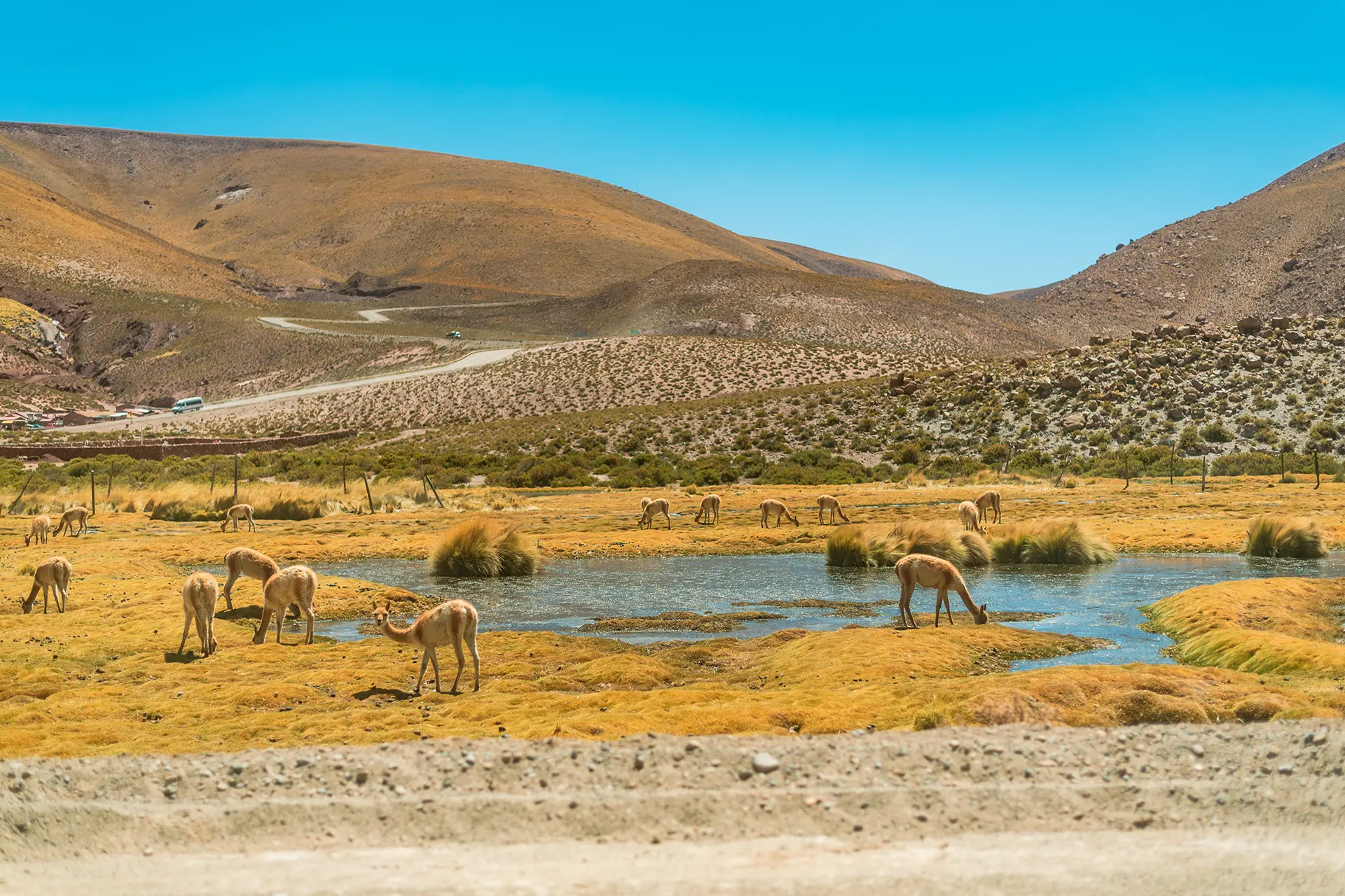 Tailor-Made, Safe & Expert